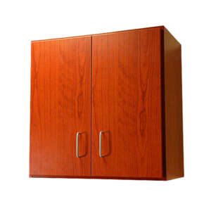DRE-Pro-Cabinet-Series-2-Door-Wall-Cabinet