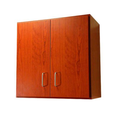 DRE-Pro-Cabinet-Series-2-Door-Wall-Cabinet